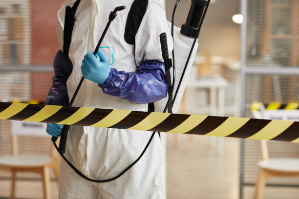 Professional Hoarding Cleanup technician working in Mount Royal, NJ